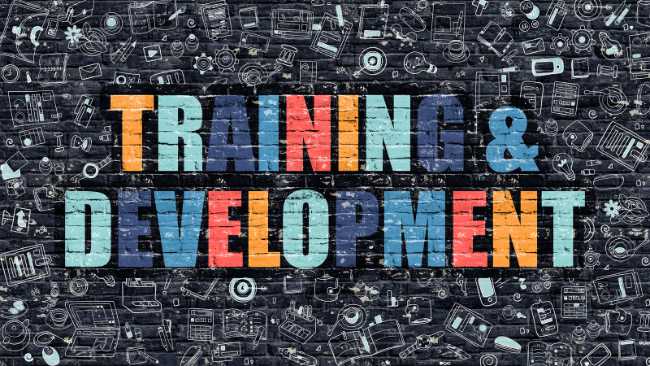 training and development