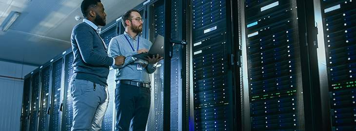 IT security engineers examining a server